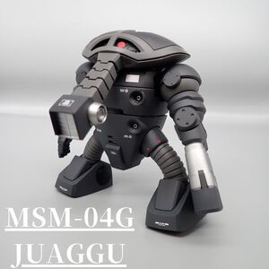 プレミアムバンダイ限定　HGUC ジュアッグ全塗装済み完成品