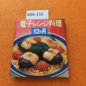 A09-155 カラー料理文庫 13 電子レンジ料理12か月 女子栄養大学出版部