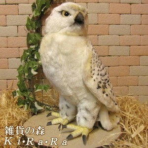 置物 動物 可愛い 鳥 ぬいぐるみ 大きくてリアル　ハヤブサ　はやぶさ　インテリア　隼　トリ　バード　猛禽類　もふもふ