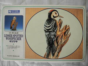 旧グンゼ産業 1/1 SCALE 野鳥コレクション キツツキ LESSER SPOTTED WOODPECKER