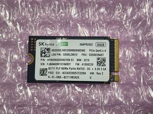 SK hynix BC711 PLP Pyrite 256GB NVMe M.2 2242 SSD 使用時間7時間