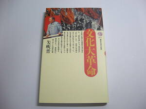 文化大革命 (講談社現代新書 971) 新書 1989/10/17 矢吹 晋 (著)
