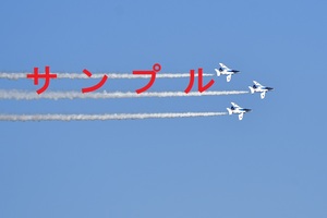 ◎ 航空自衛隊 ブルーインパルス　入間航空祭　デジタル画像 No21