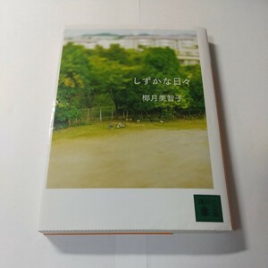 しずかな日々 （講談社文庫　や５８－２） 椰月美智子／〔著〕