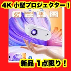 プロジェクター 12000LM Bluetooth5.3 高画質 小型 4K対応