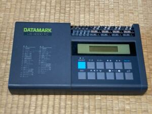 データーラガー、DATAMARK LS-3000TC