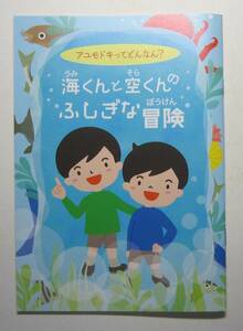 アユモドキってどんなん？海くんと空くんのふしぎな冒険