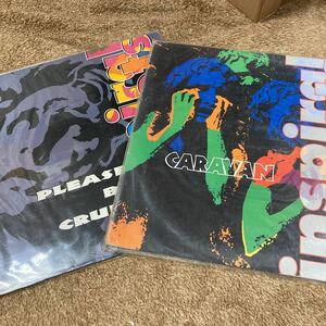 Inspiral Carpets12インチ×2インスパイラル カーペッツ Please Be Cruel / caravan 1991 UK near M