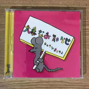 (280)帯付 中古CD150円 キュウソネコカミ　大事なお知らせ