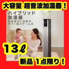 グレー 加湿器 スチーム 大容量 13L 100℃高温除菌 加熱 超音波 アロマ