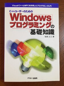 Windowsプログラミングの基礎知識 (アスキーブックス)