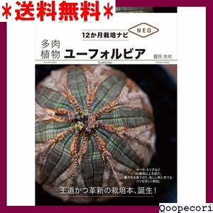 ☆人気商品 多肉植物 ユーフォルビア NHK趣味の園芸 12か月栽培ナビNEO 2