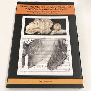 ヤギなどの反芻動物における脳科学に関する研究[A Stereotaxic Atlas of the Japanese Saanen Goat (Capra hircus L. japonica) Forebrain]
