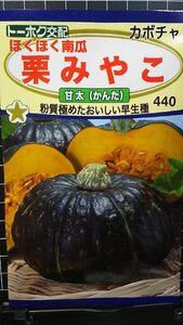 ３袋セット ほくほく 栗 南瓜 みやこ 甘太 カボチャ 種 郵便は送料無料