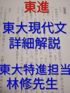 東進　林修先生の東大現代文2010年-2019年の解説解答採点基準　駿台　鉄緑会