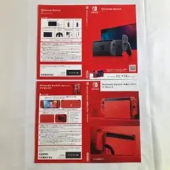 ダミージャケット 本体 グレー/マリオレッド 販促 展示用 SWITCH 非売品