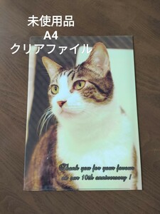 トラ猫 A4 クリアファイル