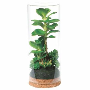 新品　ガラスキャニスター多肉植物アレンジメント　 アーティフィシャルフラワー　高さ25㎝