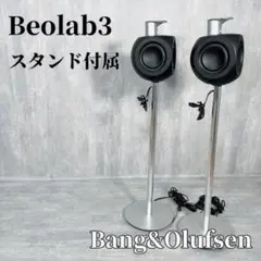 希少 Bang & Olufsen Beolab 3 スピーカー サブウーファー