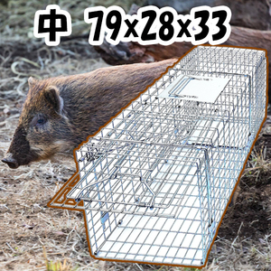 中サイズ はこわな 79x28x33 捕獲器 踏板式 動物 捕獲機 箱罠 あなぐま 猫 アニマルキャッチャー 檻 L 折り畳み 組み立式 かご くくりわな