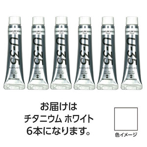 まとめ得 【6本×5セット】 ターナー色彩 U35 チタニウムホワイト11ml TURNER108862X5 x [2個] /l