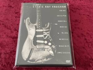 ★A TRIBUTE TO STEVIE RAY VAUGHAN★DVD★トリビュート・トゥ・スティーヴィー・レイ・ヴォーン★ERIC CLAPTON/エリック・クラプトン 他★