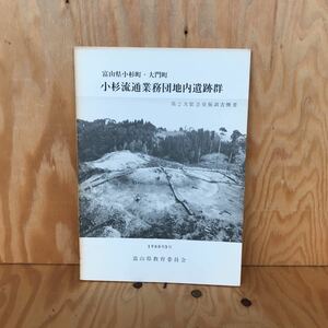 ☆さＡ‐181211レア〔富山県小杉町・大門町　小杉流通業務団地内遺跡群　第2次緊急発掘調査概要　1980年3月〕縄文時代の遺物実測図