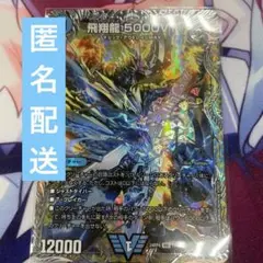 飛翔龍5000VT 銀トレジャー