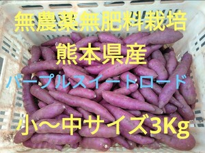 ●無農薬・無肥料栽培●熊本県産●パープルスイートロード●3kg●小サイズ