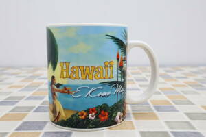 ◇ 激レア・限定　海外スタバ｜スターバックス マグカップ ハワイデザイン｜Starbucks 2008年製 ｜シティーシリーズ Hawaii 陶器■N5324