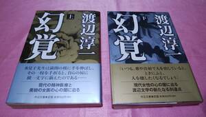 ☆『 幻覚 』【上巻・下巻】２冊≪著者：渡辺淳一≫/中公文庫♪(帯あり)