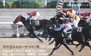 ●エルカーサリバー 競馬ブックテレカ