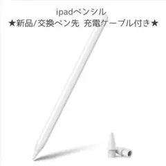 iPad ペンシル磁気吸着充電式 白収納ケース交換ペン先充電ケーブル説明書付き