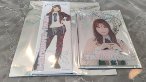 AKB48 SPECIALくじ 谷口めぐ アクリルカードキーホルダー ロング缶バッジセット