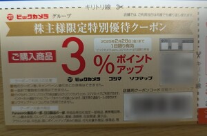 ビックカメラ 3パーセントポイントアップ券 ＋ ラクウル 1000円増額チケット 株主優待券