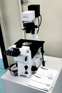 OLYMPUS/オリンパス 倒立型 リサーチ顕微鏡 IX71S1F-3 　マニュアル付き　51153Y