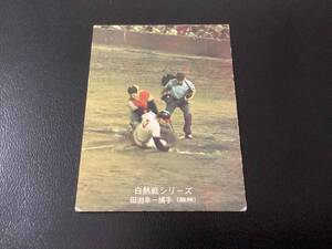 カルビー75年　田淵（阪神）No.524　プロ野球カード