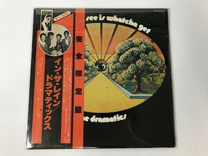 CI426 The Dramatics / Whatcha See Is Whatcha Get VIP-5017 【LP レコード】 0618