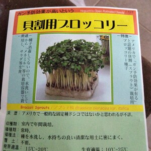 30ml6000粒■ブロッコリースプラウトの種■貝割用ブロッコリー■野口の種♪カズレーザーと学ぶ♪ダイエット■ガン予防■スルフォラファン