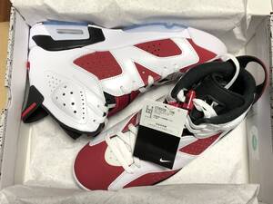 【27.5cm】 us9.5 NIKE AIR JORDAN 6 RETRO カーマイン 2021 ナイキエアジョーダン 6 レトロ 