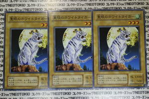 遊戯王 隻眼のホワイトタイガー(ノーマル)×3枚セット