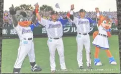 プロ野球チップス 大谷翔平 中田翔 プロ野球カード