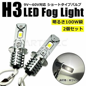 H3 LED フォグ バルブ ホワイト 12V 24V 2個セット 6000LM 100W級 白色 ランプ トラック グランド プロフィア クオン ギガ /146-184x2