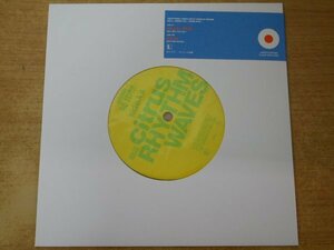 EPd-7302＜カラー盤＞PAPAS FRITAS / CITRUS シトラス/ TRATTORIA 7INCH SPLIT SERIES NO.3