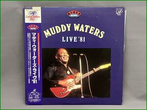 LD レーザーディスク MUDDY WATERS マディウォーターズ LIVE81