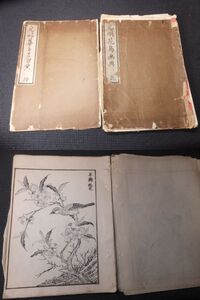 元明花鳥画典！全2冊揃い！全39図揃い！　　　　　　　　　　検古写経呉昌碩古墨文房四宝和本書道中国清朝掛軸骨董書画古硯唐墨和墨二玄社