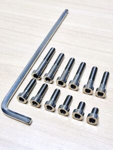 200-C-20◆M6xP1.0x20mm チタン合金 低頭 ソケットボルト ソケットヘッドキャップスクリュー ローヘッド 六角穴付ボルト M6x10~40mm