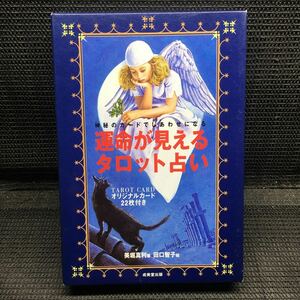 神秘のカードでしあわせになる　運命が見えるタロット占い　オリジナルカード22枚付（検品済）　美堀真利　田口智子