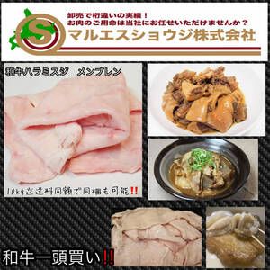 北海道産黒毛和牛 和牛 牛ハラミスジ　牛メンブレン 1.0kg うどん おでん カレーに最適、最高です！10kg迄送料同額にて同梱も可能！！