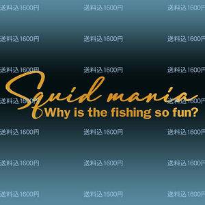 ☆Sports mindではなくて、Squid mania　烏賊釣り中毒　カッティングステッカー Why is the fishing so fun ? NO520